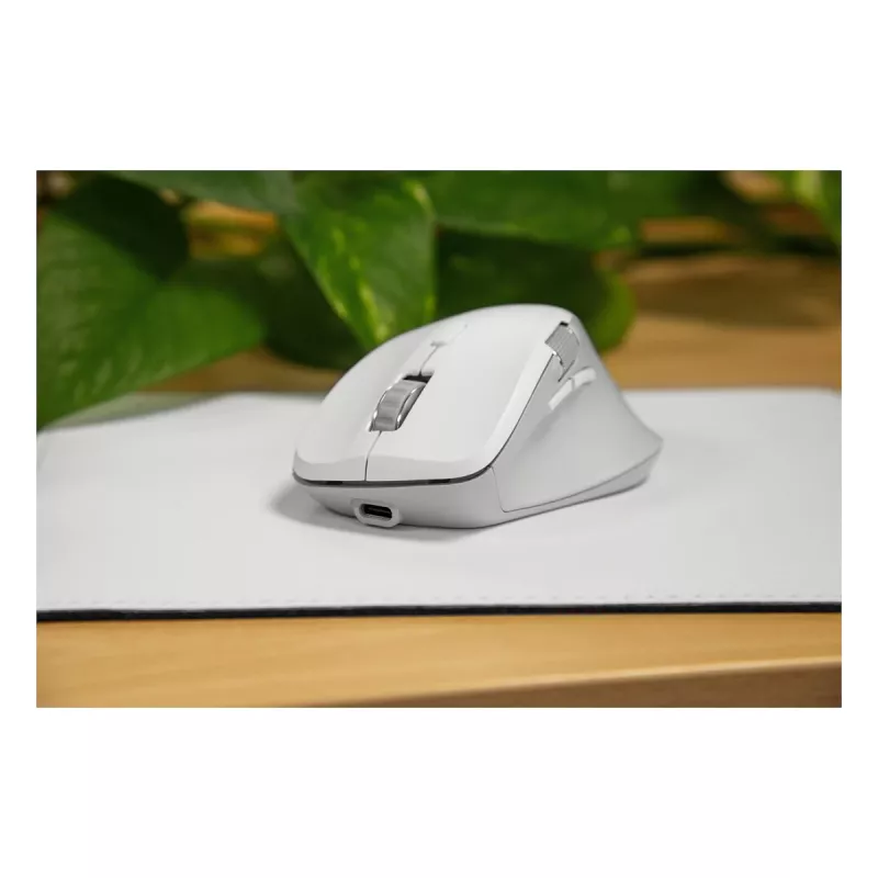 Speedlink LIBERA Mouse Bluetooth silenzioso wireless ricaricabile bianco
