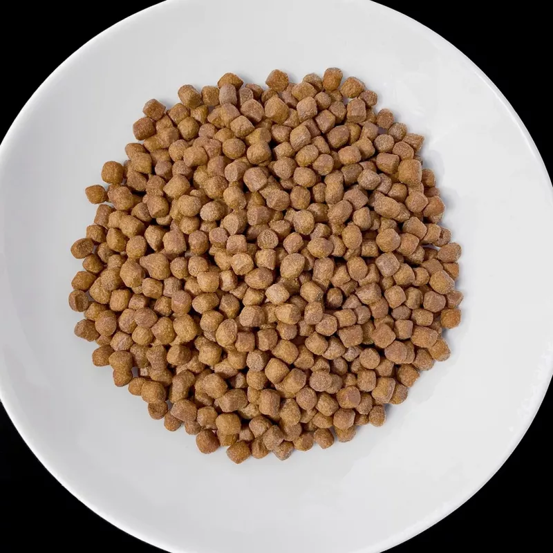 VET RESPONSE Renal - cibo secco per cani - 1,6 kg