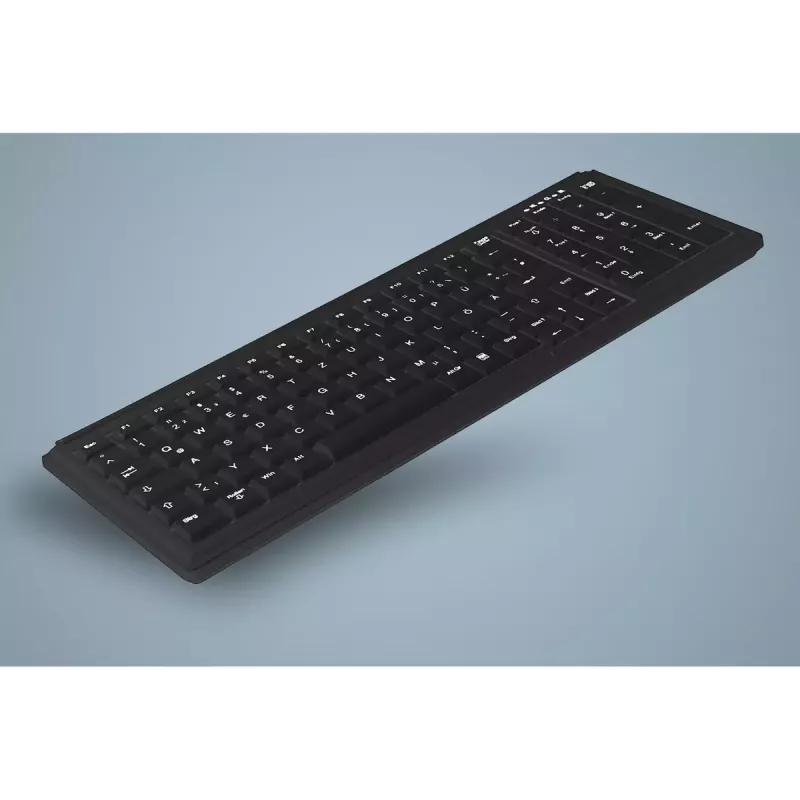 Active Key AK-7000 tastiera universale USB QWERTY US International nero