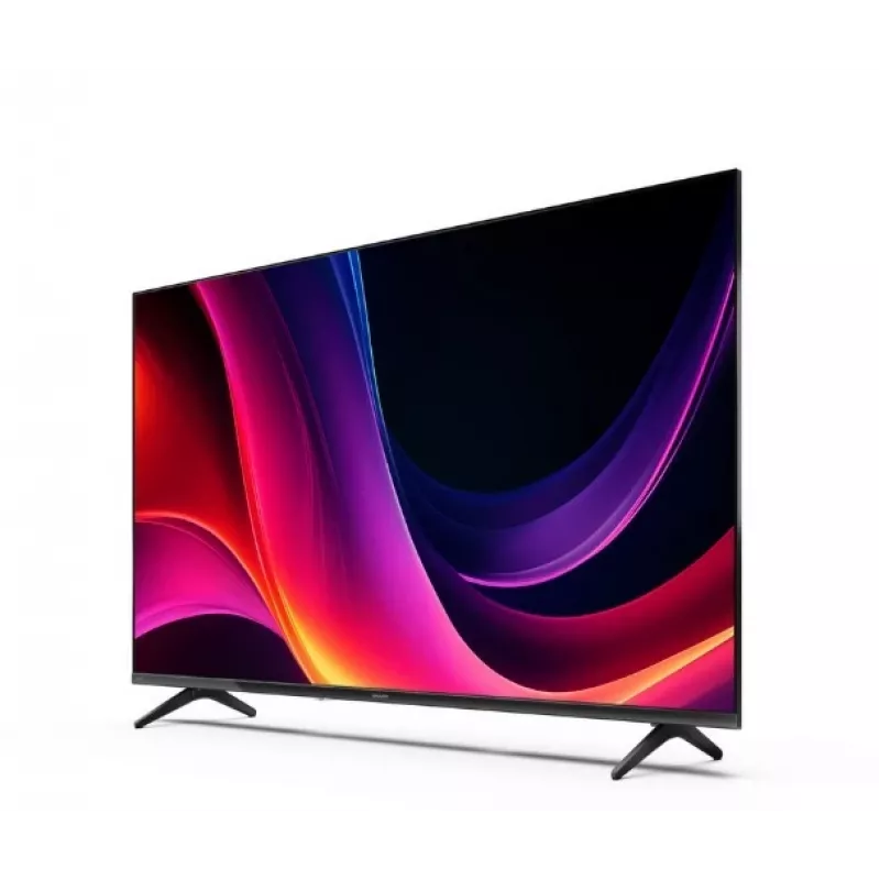 TV LED 43 pollici 43HE2445E