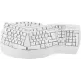 Perixx 11615 tastiera RF Wireless + Bluetooth QWERTZ francese - tedesco - spagnolo - inglese UK - inglese US bianco (PERIBOARD-612W DE)