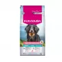 Crocchette per cani EUKANUBA Special Care Mono-Protein Adult Salmon 12 kg