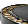 Trampolino da giardino Salta Royal Baseground - 251 cm