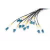 Cavo breakout universale in fibra ottica preassemblato Digitus monomodale OS2 12 fibre LC/UPC 100 m