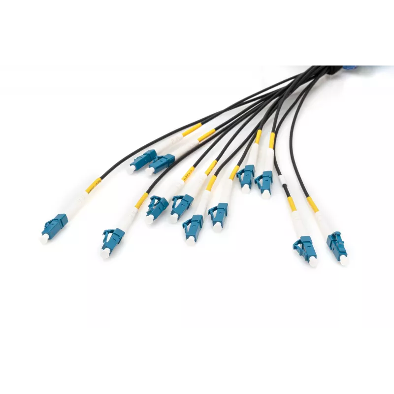 Cavo breakout universale in fibra ottica preassemblato Digitus monomodale OS2 12 fibre LC/UPC 100 m