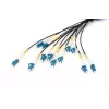 Cavo breakout universale in fibra ottica preassemblato Digitus monomodale OS2 12 fibre LC/UPC 100 m