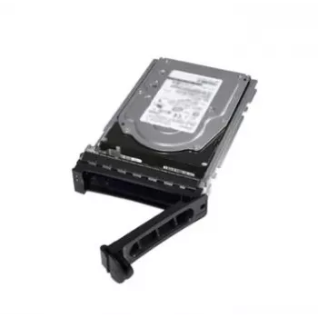 Dell Seagate - disco fisso - 8 TB - 3,5 pollici (8,9 cm) - SAS 12Gb/s - Nearline - 7200 U/min - per PowerVault MD3060, MD3400, MD3460, MD3860, PowerVault ME4012, ME4084, Storage NX3240 (M40TH)