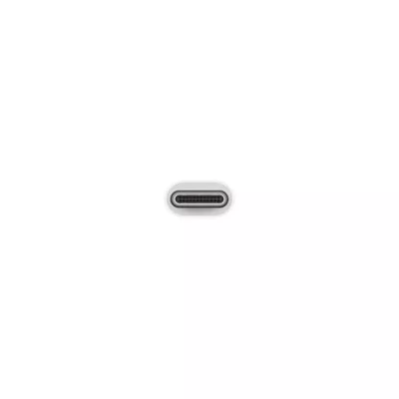 Adattatore Apple USB-C a USB MJ1M2ZM/A USB A USB C | Turime | ITwork