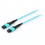 Equip Pro - Cavo patch - MTP multimodale (W) - MTP multimodale (W) - 15,0 m - Fibra ottica - 50/125 micrometri - OM4 - Acquamarina (25555707)