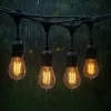 Extralink Ghirlanda di luci da giardino, 15 m, 15 lampadine (EX.27696)