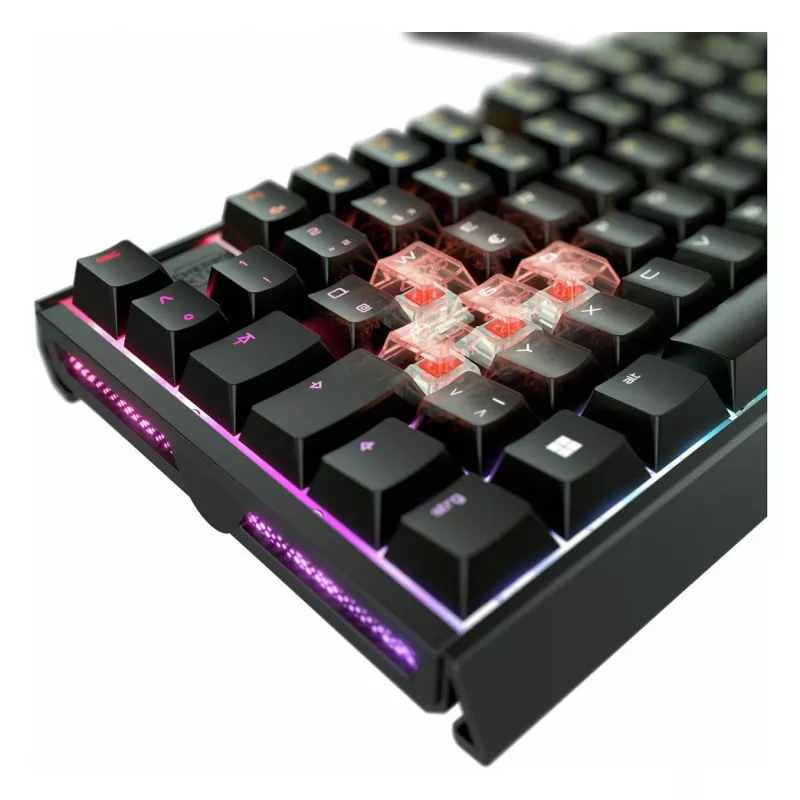 CHERRY XTRFY MX 3.1 tastiera meccanica RGB, con filo, Full-Size