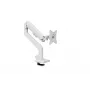 Supporto monitor Arozzi AZ-ALZARE-NEO-WT bianco 9 kg VESA 75x75 100x100