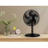Ventilatore 2 in 1 a piantana e da tavolo Noveen F535 X-Line, 40 cm, nero