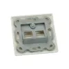 ROLINE supporto modulo per keystone 2-way