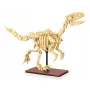Kit di costruzione Jamara CaDA Fossile dinosauro Velociraptor — 256 pezzi, età 8+, beige/marrone