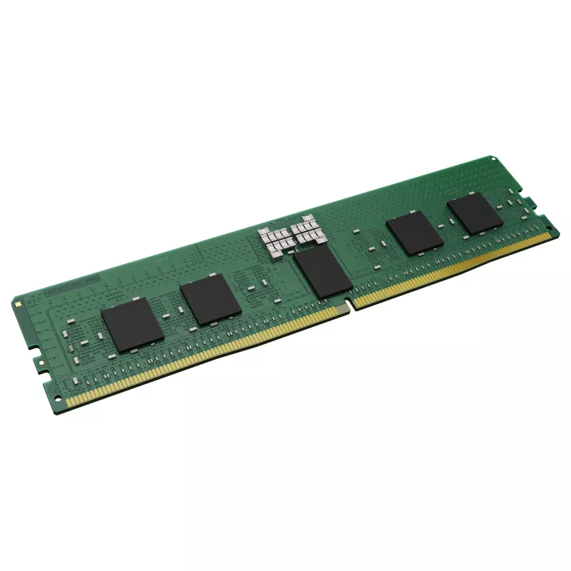 KINGSTON 16GB DDR5 5600MT/s ECC Reg 1Rx8 modulo