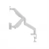 Supporto monitor GEMBIRD MA-DA2-06-W per schermi da 17–32 inch, montaggio a morsetto/binario da tavolo, bianco