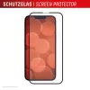 Vetro protettivo premium Displex in vetro temperato (copertura totale, 10H) per Apple iPhone 16e/17e