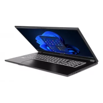 TERRA 1716R Intel® Core™ i3 i3-1315U Laptop 43,9 cm (17,3