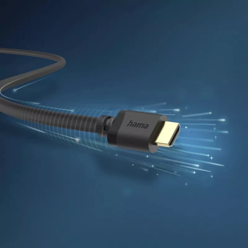 Hama 00202029 cavo HDMI 3 m HDMI Type-A (standard) nero
