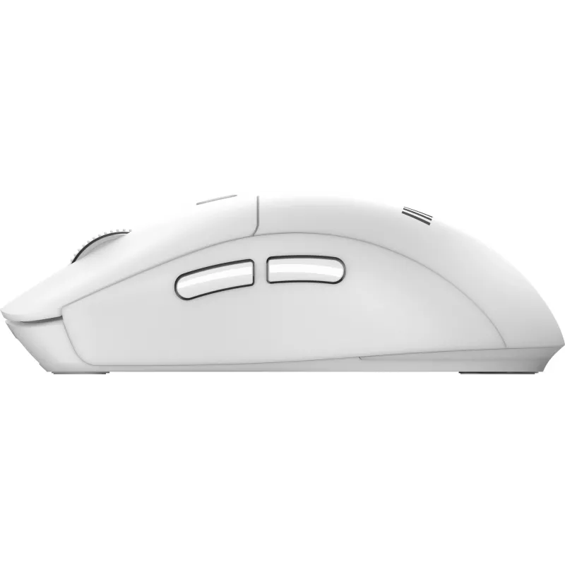 MSI FORGE K210 W COMBO WHITE US Tastiera Mouse inclusi Home/Office USB QWERTY US English