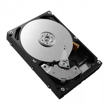 DELL 161-BCFV disco fisso interno 2,4 TB 10000 giri/min 2,5