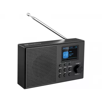 Sandberg altoparlante radio DAB+BT ricaricabile, portatile, analogico e digitale, DAB+, FM, 87,5 - 108 MHz, 174 - 240 MHz, 3 W