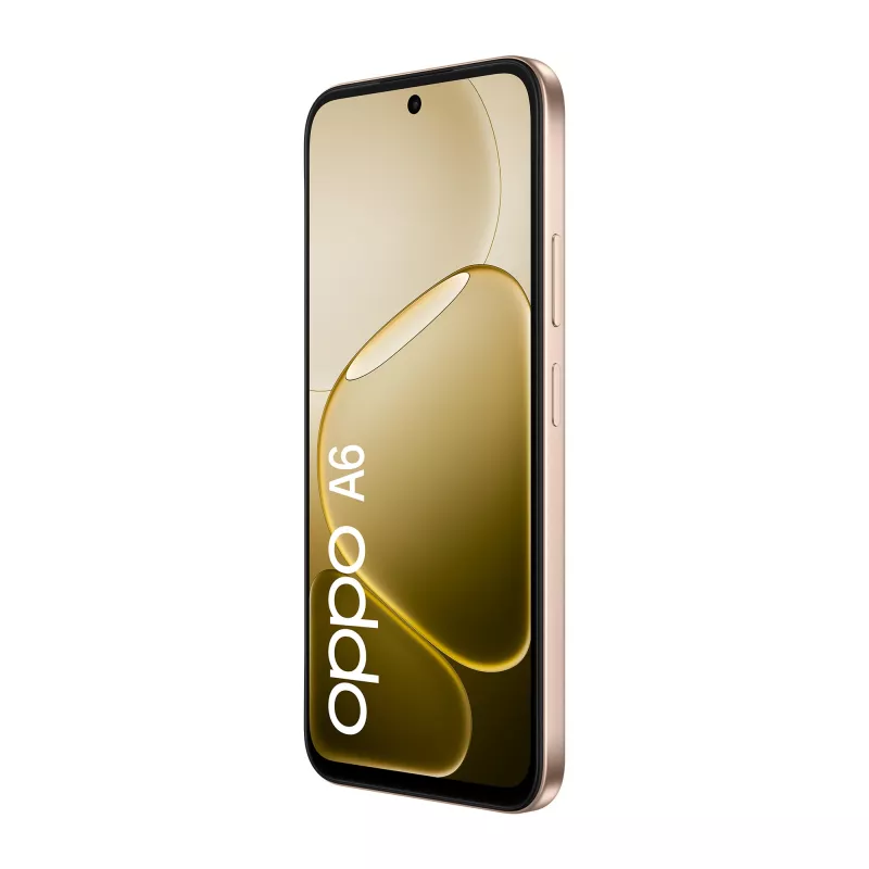 OPPO A6 17,1 cm (6,75