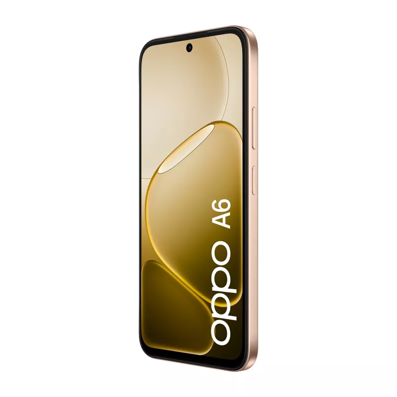 OPPO A6 17,1 cm (6,75