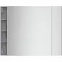 Legrand 352301 copertura di protezione per presa alluminio