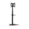 Chief PF1UB supporto monitor / stand 190,5 cm (75