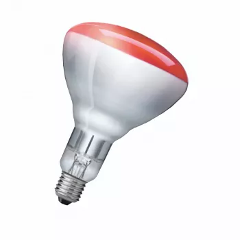 Lampada a infrarossi Philips 923212043801 250 W 5000 h 230-250 V