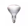 Lampada a infrarossi Philips 57522725 150 W 5000 h 230-250 V