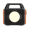 Pannello solare PowerNeed CPS300 300 W