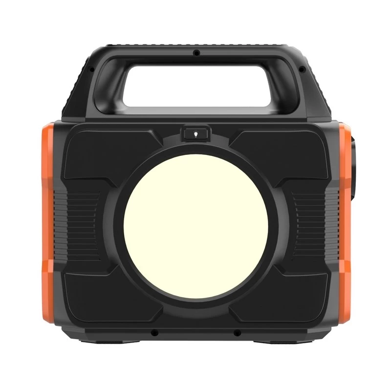 Pannello solare PowerNeed CPS300 300 W