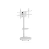 Supporto da terra con ripiano a carrello TECHLY per TV LCD/LED/Plasma 37-86 pollici bianco