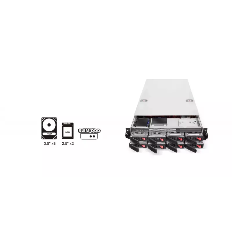 Case per HDD Silverstone RM22-308 2,5/3,5 pollici 10 unità nero bianco