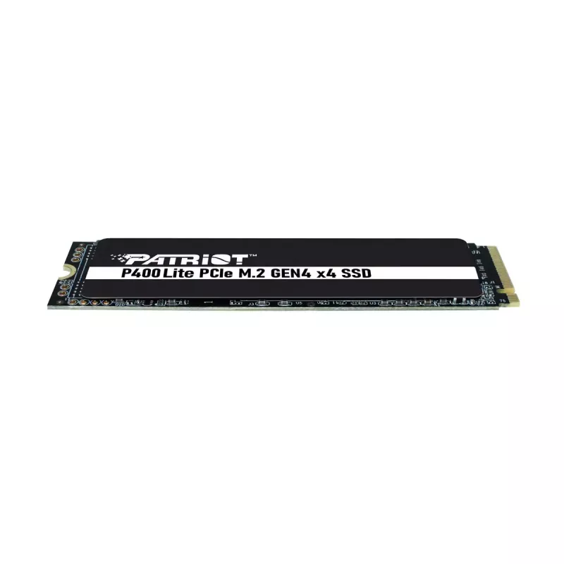 Unità SSD Patriot Memory P400 Lite 250 GB M.2 PCI Express 4.0 NVMe