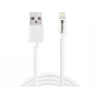 SANDBERG 440-94 cavo SANDBERG USB>Lightning 2M certificato Apple