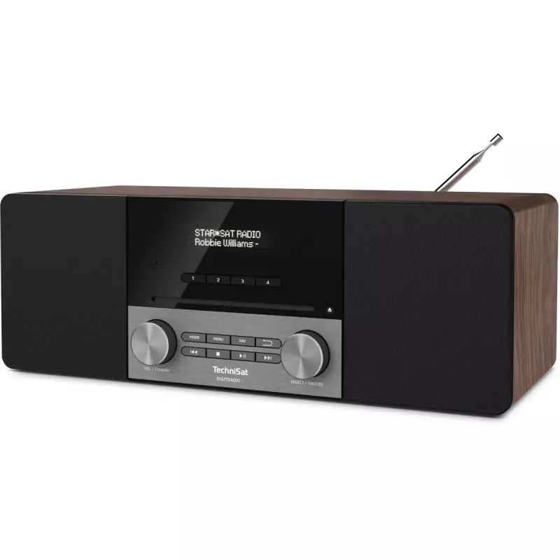 Radio portatile TechniSat DigitalRadio 3 analogico e digitale DAB+ FM