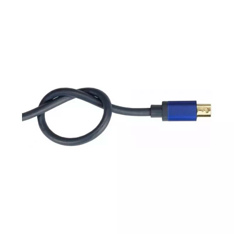 Adattatore cavo video Alcasa MDP-HDMI2 0,2 m Mini DisplayPort HDMI nero blu