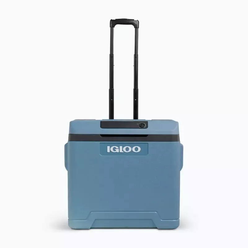 Frigorifero termoelettrico IGLOO IE42 – 42 qt portatile DC/AC