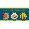 Set Im A Genius - fabbrica di matite