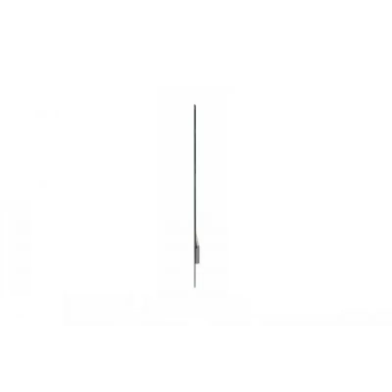 Monitor piatto Digital Signage LG 30EW5TP-A 30 pollici OLED 1366 x 768