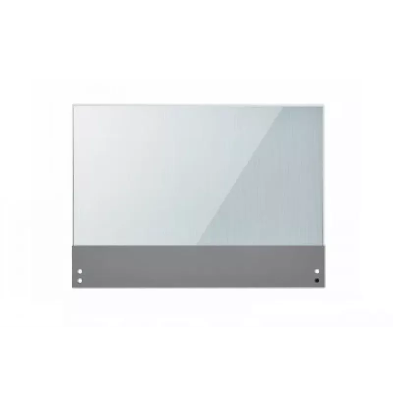 Monitor piatto Digital Signage LG 30EW5TP-A 30 pollici OLED 1366 x 768