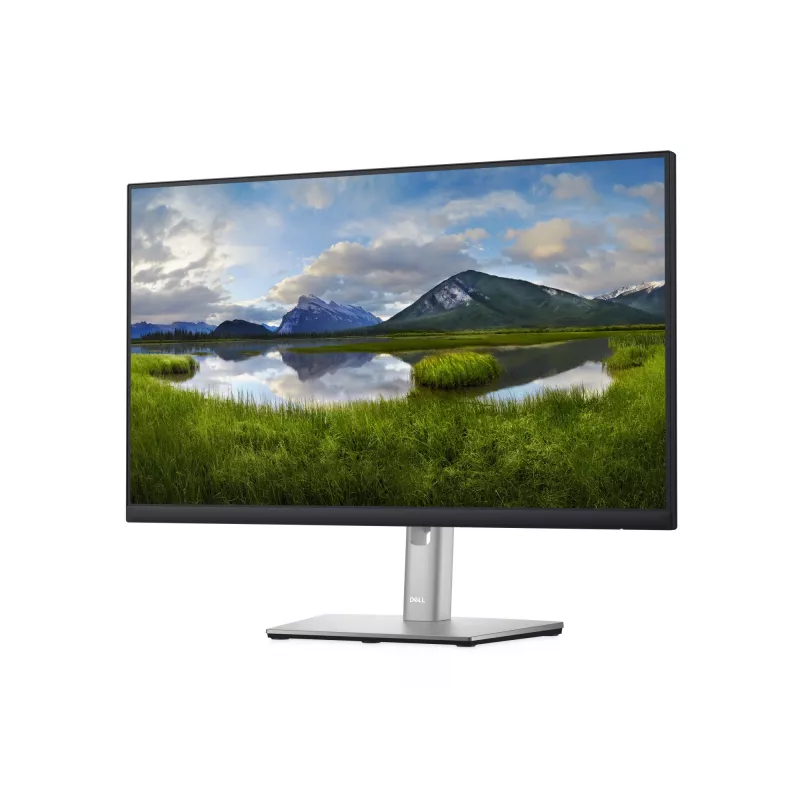 DELL P Series P2422H monitor per computer 60,5 cm (23,8