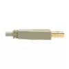 Cavo USB 2.0 A-B Tripp Lite U022-006-BE 1,8 m beige