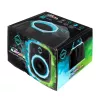 Cool Box Iceberg Thermal IceFLOE AURORA 0,355 L elettrico nero