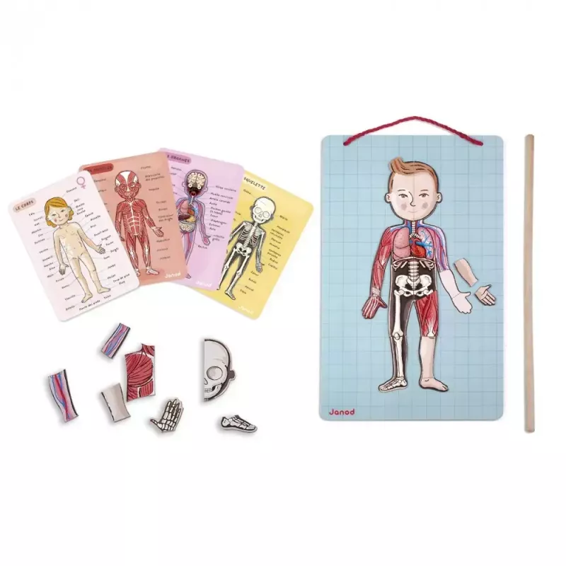 Giocattolo educativo Janod J05491 multicolore da 7 a 12 anni