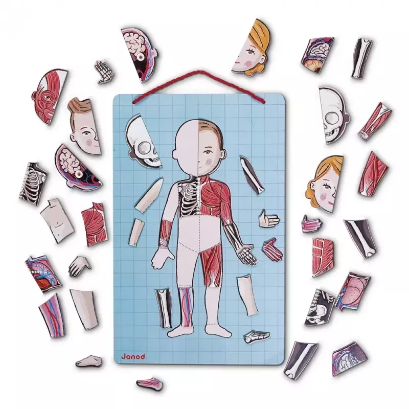 Giocattolo educativo Janod J05491 multicolore da 7 a 12 anni